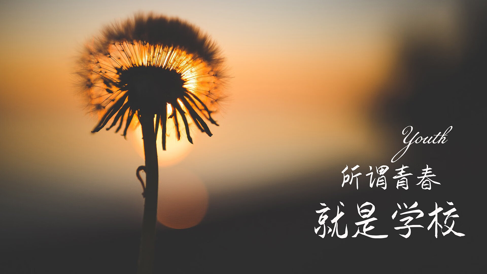 开云体育客户端-“法甲积分榜变动频繁，争冠形势扑朔迷离”，法甲积分榜2021一2022