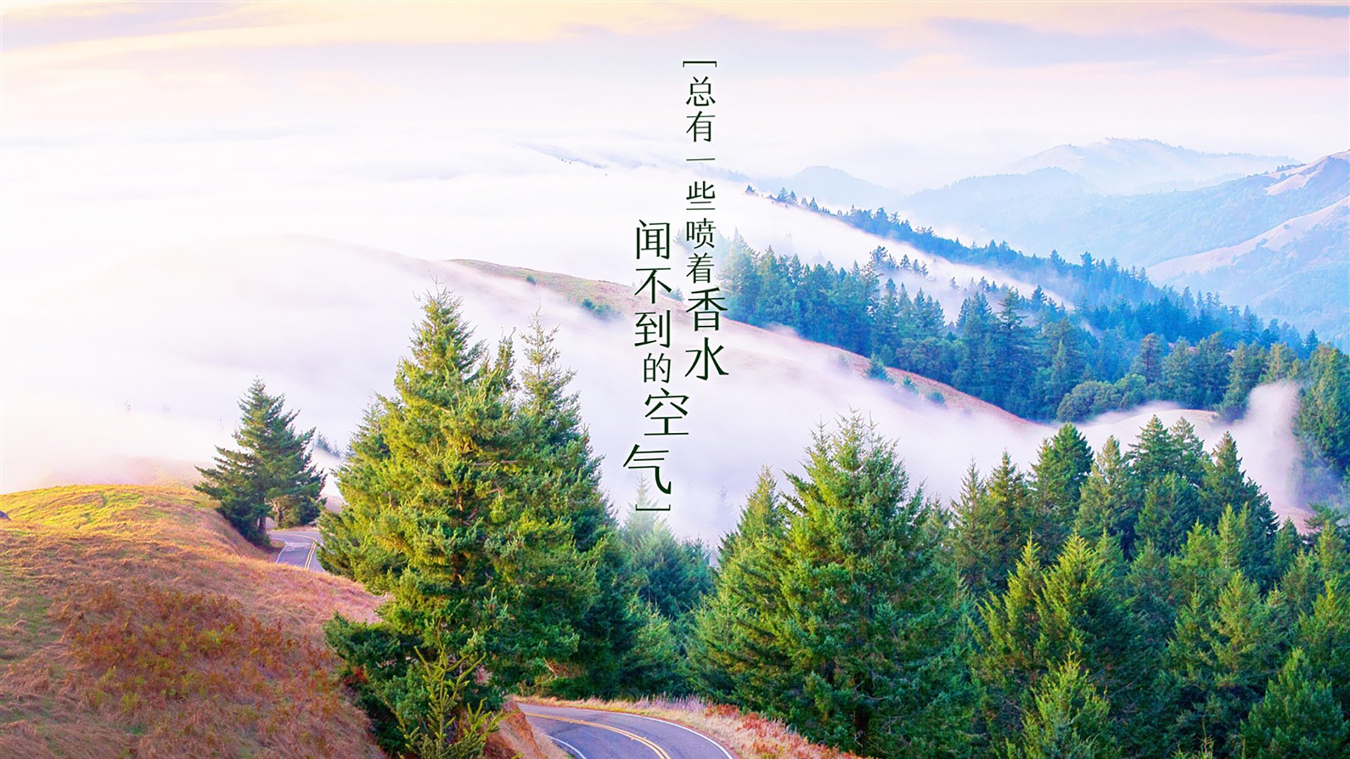 开云平台-赛季新鲜事：联盟最新变化和亮点，联盟赛季更新了吗