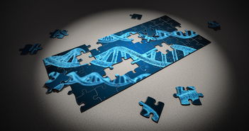 开云官网-篮球专项体能训练恢复技术科学研究及应用,篮球体力恢复训练