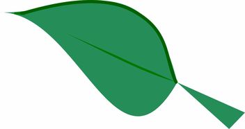 kaiyun-球场生态环保:绿色基地的实践探索,球场环境